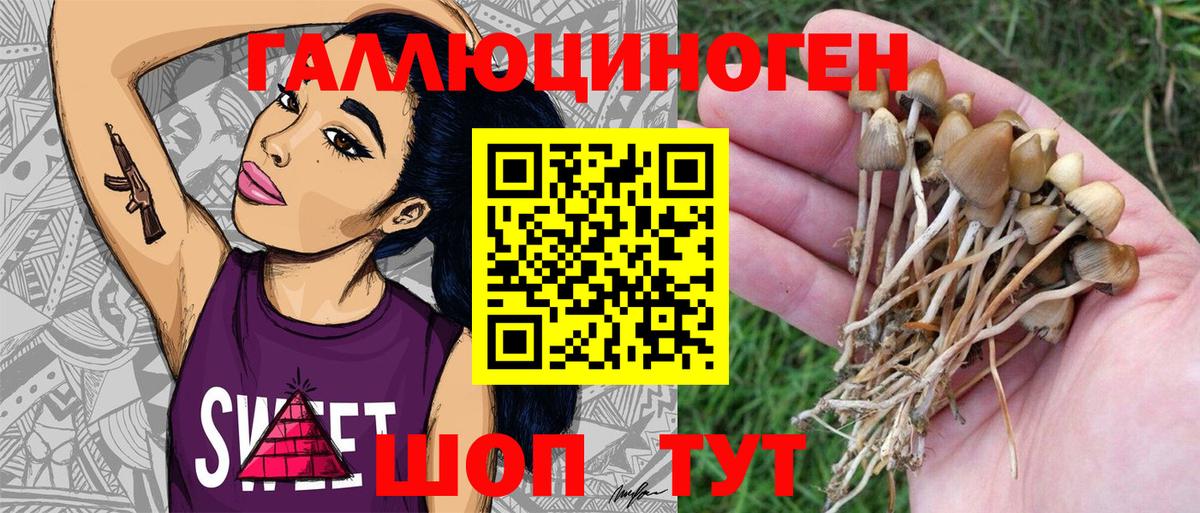 Кисловодск  Псилоцибиновые грибы Magic Shrooms  Вход с VPN 