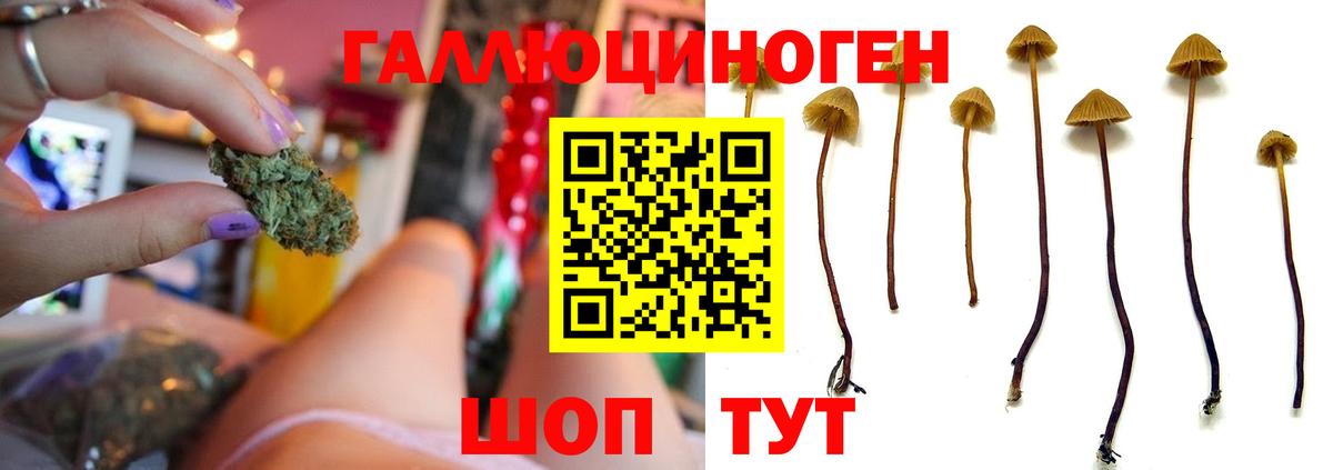 Галлюциногенные грибы мицелий Кисловодск