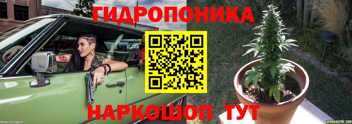 Шишки марихуана AK-47 Кисловодск